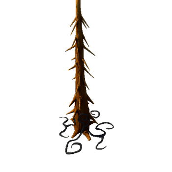 Trunk_Root_Dark_2