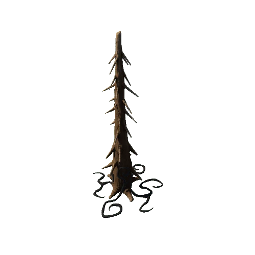 Trunk_Root_Dark_3