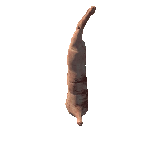 Pork_carcass_var2