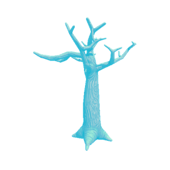 Tree_Baobab_Stem