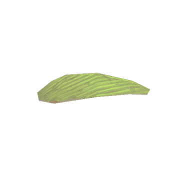 Tree_Palm_Leaf_B