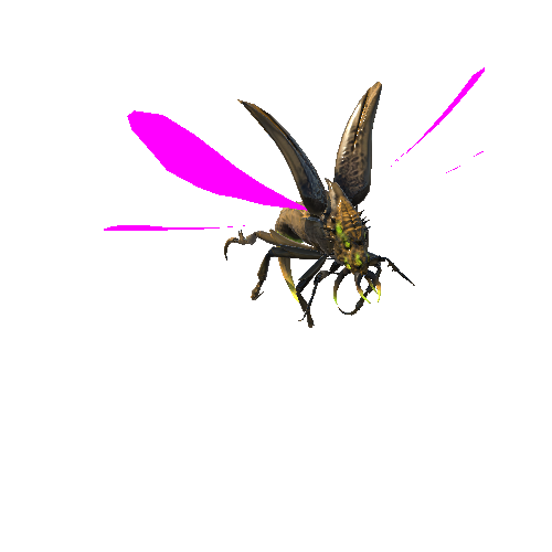 Flying_Beetle6_Skin2