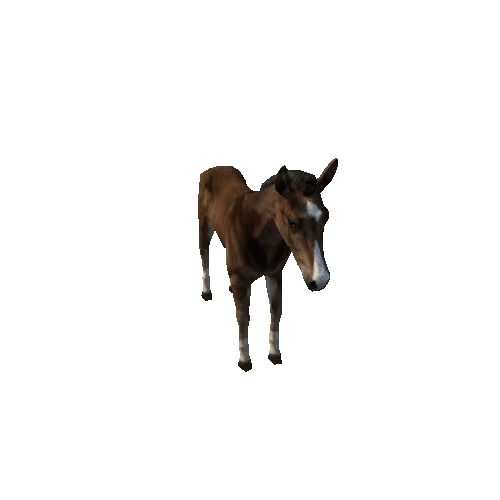 Horse_foal_LowPoly