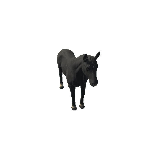 Horse_HighPoly_c2