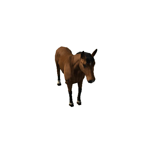 Horse_LowPoly_c1