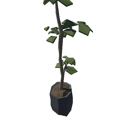 SM_Prop_Plant_02