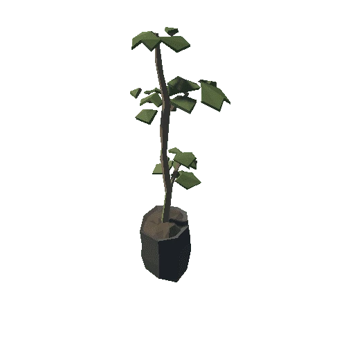 SM_Prop_Plant_02