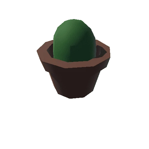 Study_Cactus