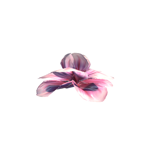 Flower8_1