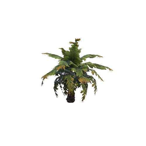 PlantB1_1