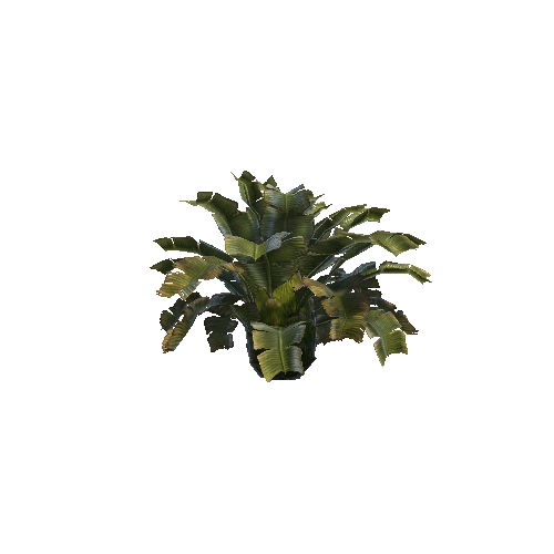 PlantB7