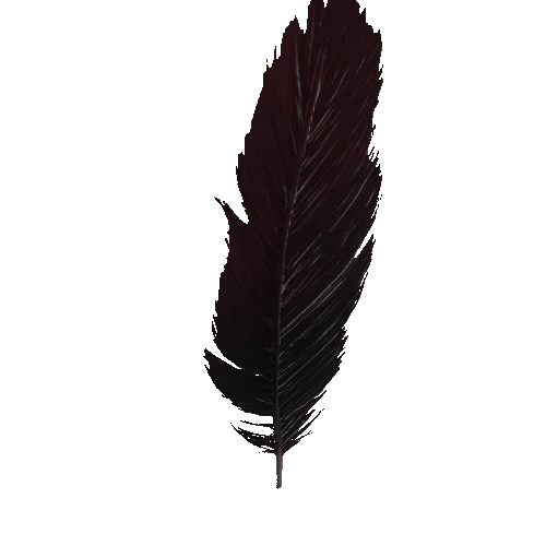 Feather_1