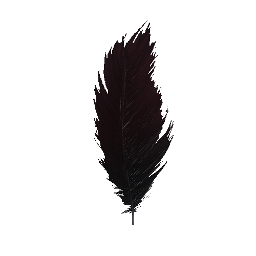 Feather_2