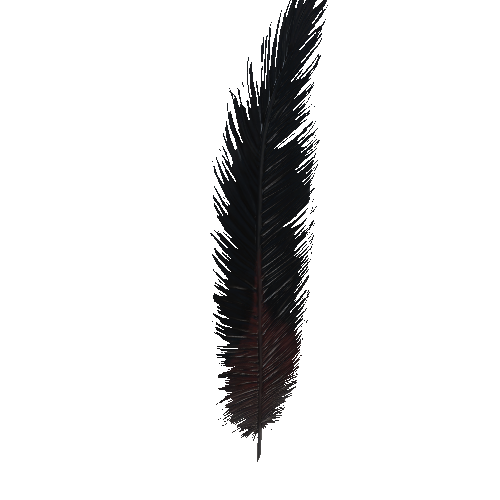 Feather_4