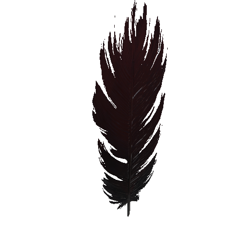 Feather_5