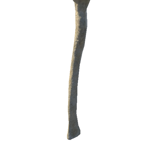 bone_5