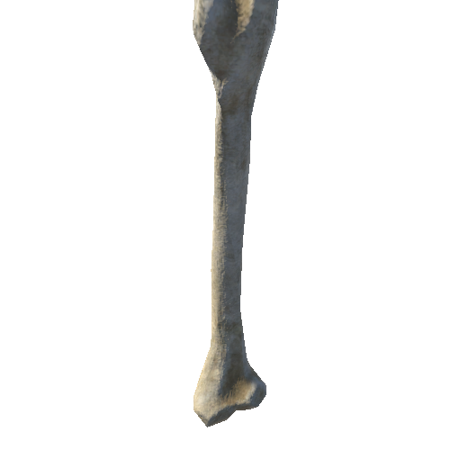 bone_9