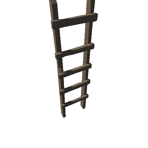 SM_Prop_Ladder_01