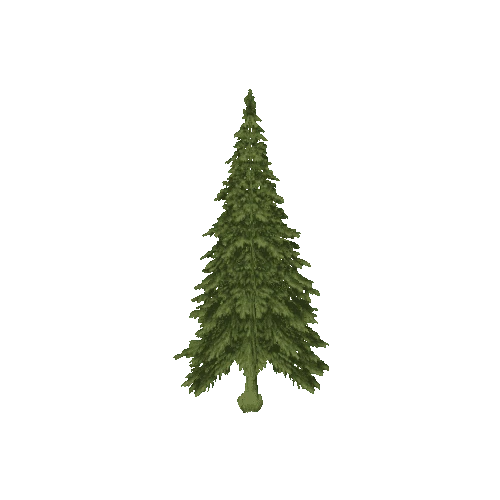 Tree_01