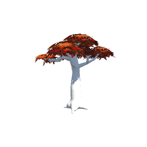 Tree_Baobab_Autumn_2