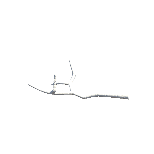 Tree_Birch_Branch_1