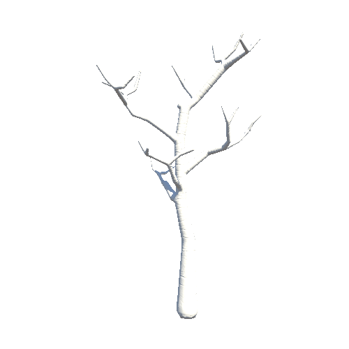 Tree_Birch_Stem