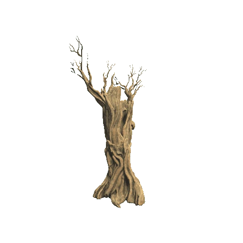 Desert_tree_hollow