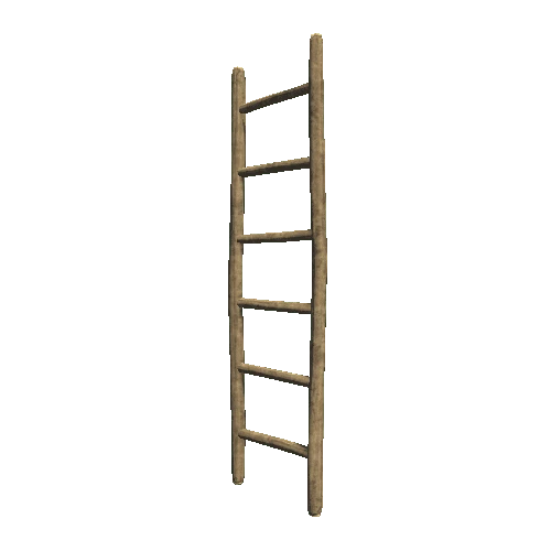 Ladder