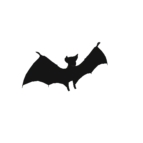 BatBlack