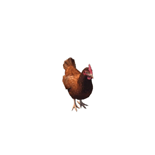 Chicken@takeoff