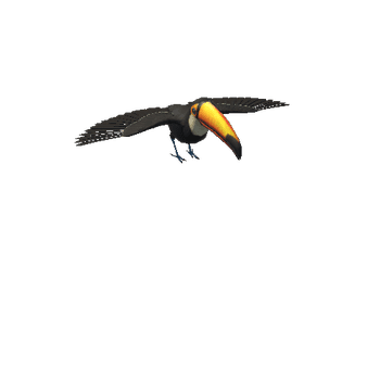 ToucanLowPoly