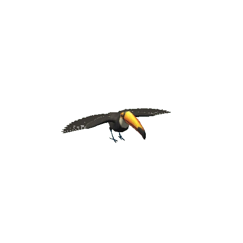 ToucanLowPoly