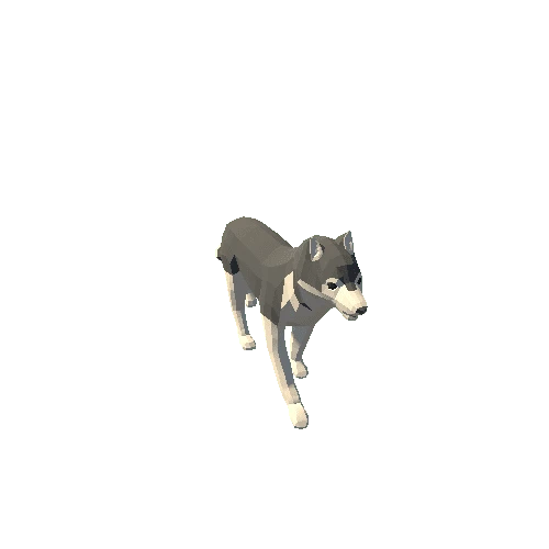 Husky