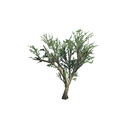 Tree_0