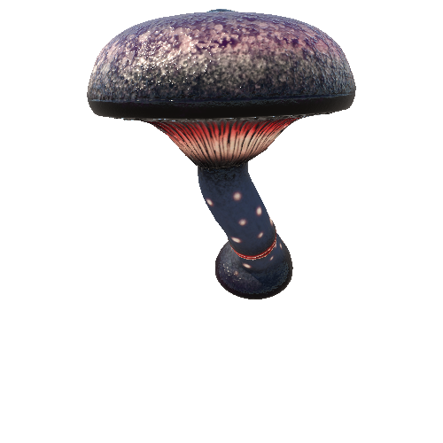 Mushroom_Giant_2_3