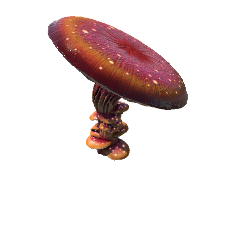 Mushroom_Giant_3_2