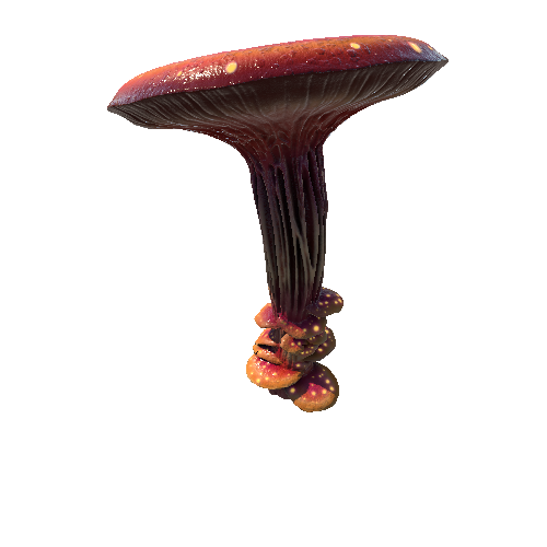 Mushroom_Giant_3_3