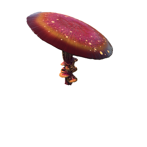 Mushroom_Giant_3_4