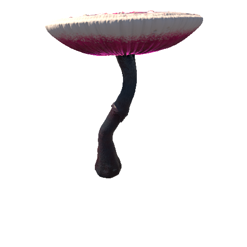 Mushroom_Giant_5_2