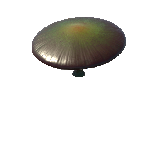 Mushroom_Middle_1_2