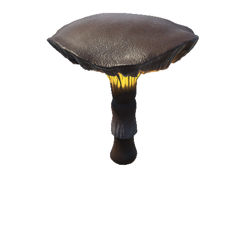 Mushroom_Middle_2_1