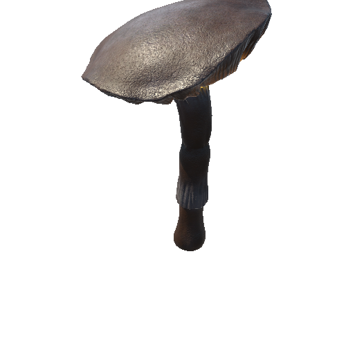 Mushroom_Middle_2_3