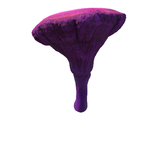 Mushroom_Middle_3_2