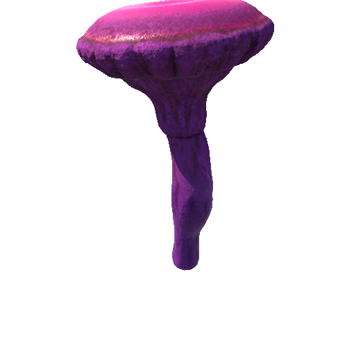 Mushroom_Middle_3_3