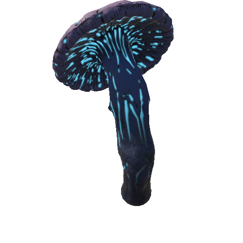 Mushroom_Middle_5_2