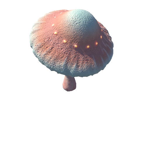 Mushroom_Middle_7_4