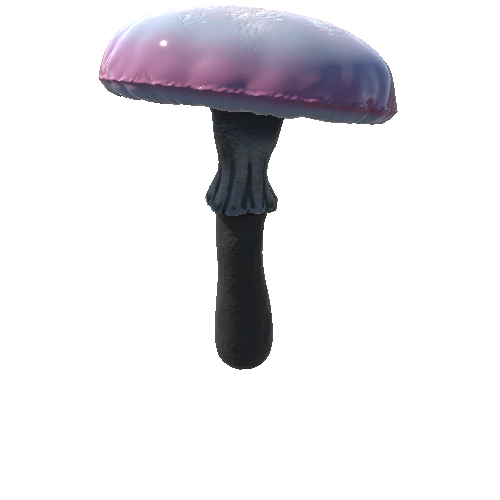 Mushroom_Middle_9_3