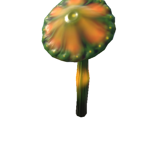 Mushroom_Small_2_4