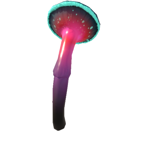 Mushroom_Small_3_3