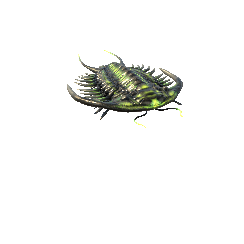 Trilobite_03